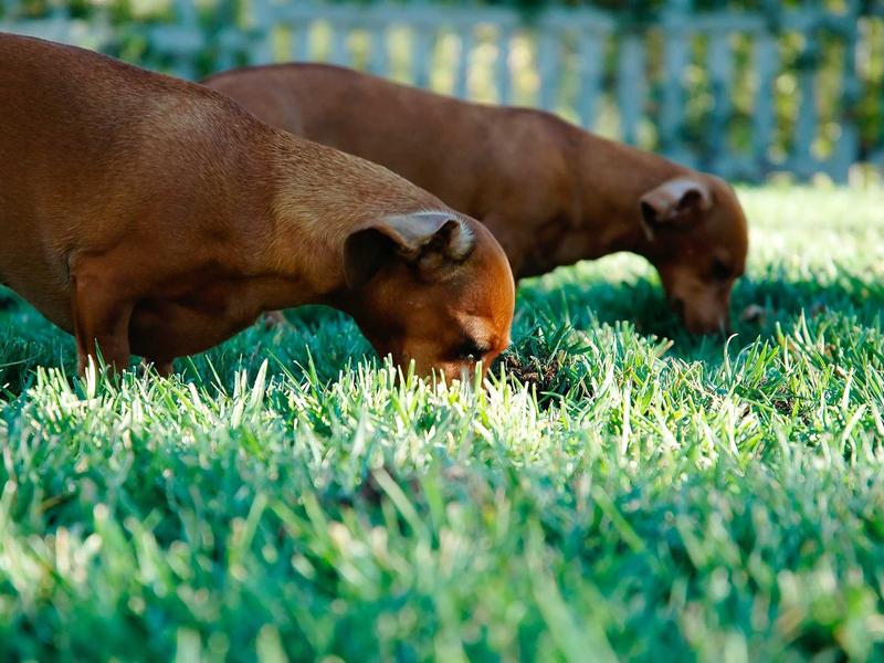 sudoku tablet version screenshot 6